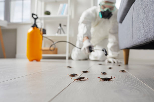 Commercial Kitchen Cockroach Control in Uintah